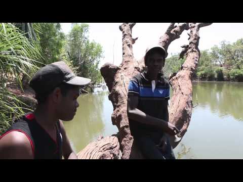 IHHP Pigeon Hole - Nitjpurru Mob