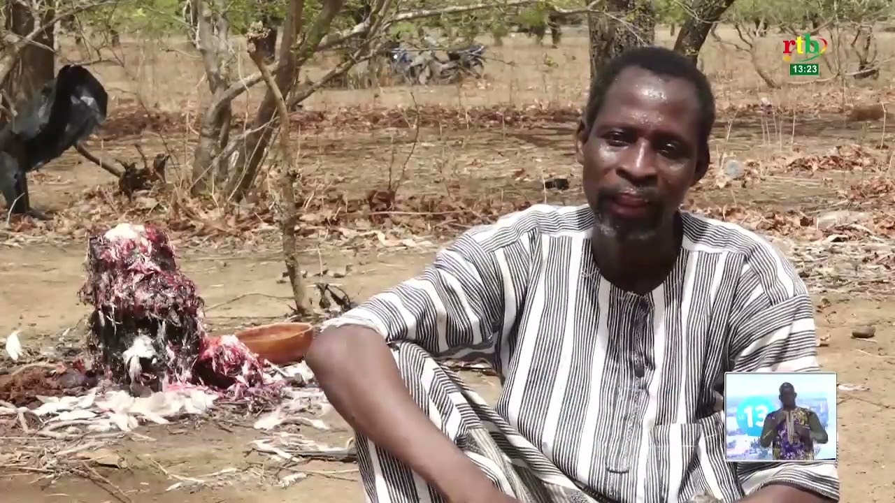 Une semaine à Zam : A la découverte des coutumes et traditions à Wayen
