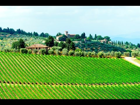 The best of Chianti Classico Tour: three medieval Villages, two Wineries and a Typical Tuscan Dinner