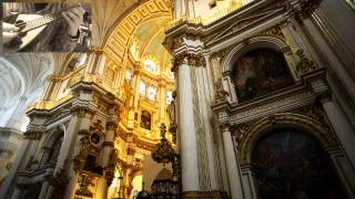 Vivaldi " Violin Concerto in A minor 3rd movement " Opus 3, No.6 (RV.356) by Mandolin