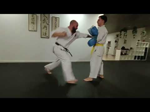 Karate Jutsu - Mecánica corporal combativa