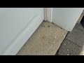 Ants Hanging Out by the Garage in Monmouth Beach, NJ