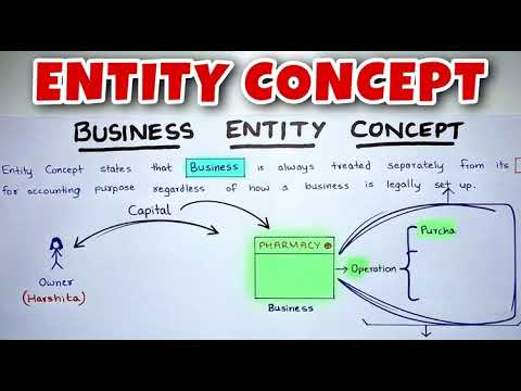 Business Entity Concept Explained #account