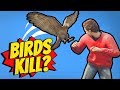 GTA 5 Can BIRDS KILL You