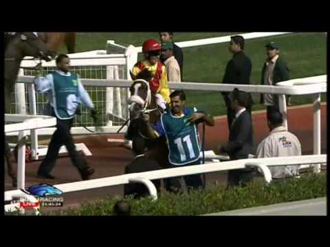 ANAEROBIO MEYDAN 28-FEB-2013