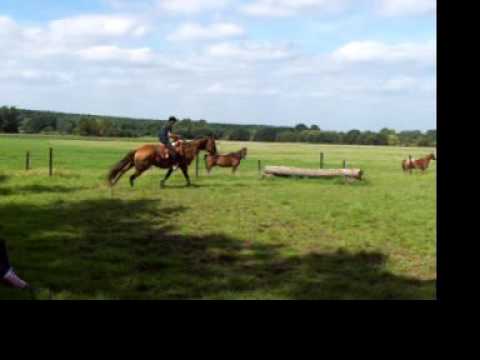 Jumping Kristel 13 08 2016