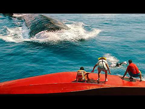 Jurassic World: REBIRTH All the Best Dinosaurs | Promo CLIPS