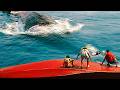 Jurassic World REBIRTH All The Best Dinosaurs Promo CLIPS