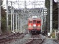 東武博物館所有8111f　団体臨時列車 2012年夏