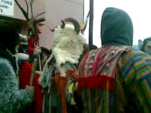 mascati primaria filipesti bacau 2012