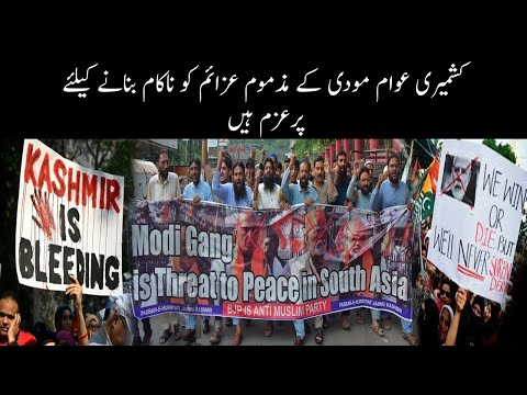 Kashmiris are determined to thwart Modi's sinister designs | Gojri | Radio SHJ&K