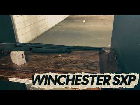 Winchester SXP Review