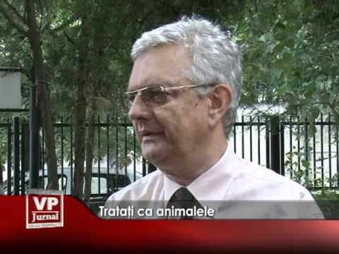 Trataţi ca animalele
