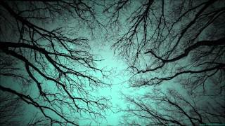 Before The Dawn - Dreamer