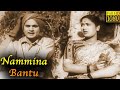 Nammina Bantu Full Movie HD Akkineni Nageswara Rao Savitri