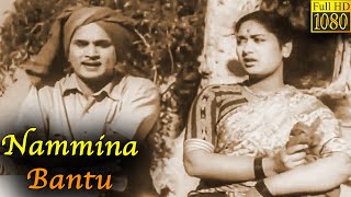 Nammina Bantu Full Movie HD   Akkineni Nageswara R