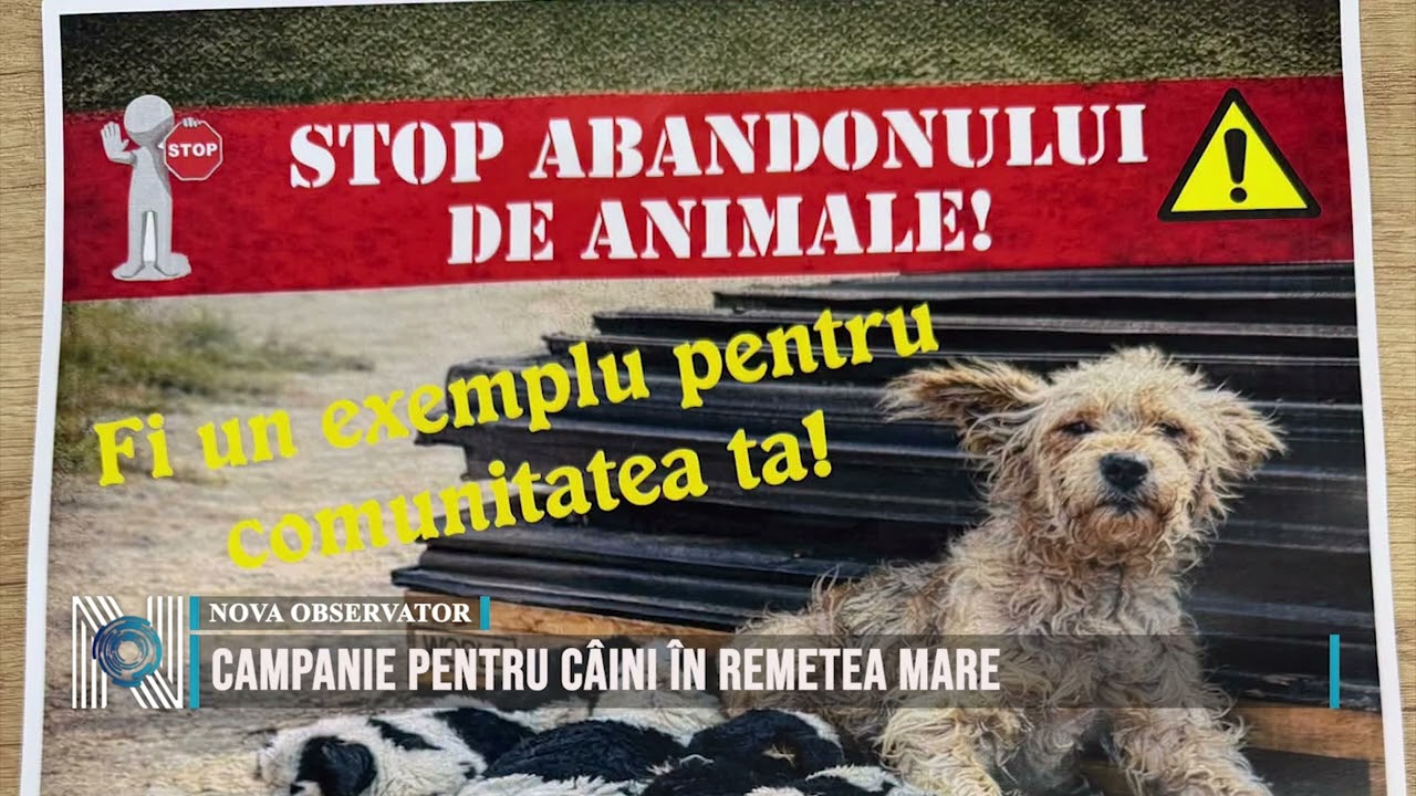 Campanie pentru câini în Remetea Mare