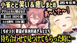 もか３Dで設定が細かすぎるシチュエーションを希望する小雀ととの6月まとめ【ぶいすぽ/小雀とと/切り抜き】