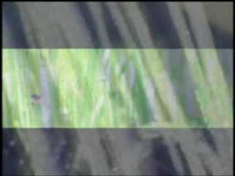 download lagu mp3 mp4 Is Hannaford Open Easter Sunday, download lagu Is Hannaford Open Easter Sunday gratis, unduh video klip Is Hannaford Open Easter Sunday