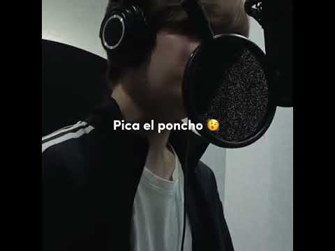 Diffrent styles of “pica el poncho” of stray kids