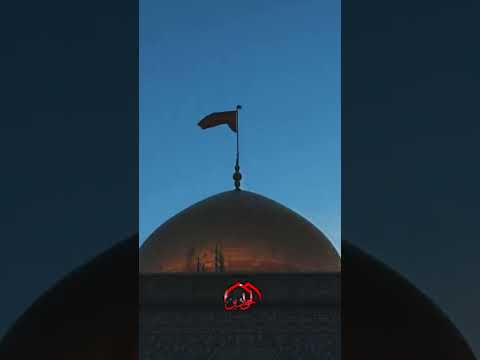 ⁣عندما يبكي الرجال .. في حضرت جبل الصبر دموع المؤمنين لمولاتي زينب الكبرى عليها السلام
