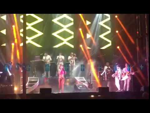 Orquesta Domino 2017