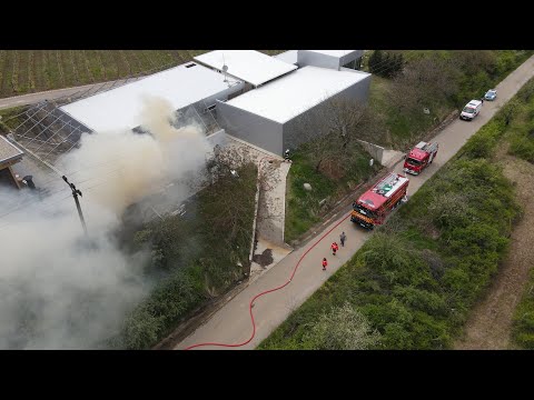 Incendiu la o cramă din orașul Buziaș!