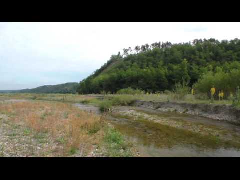 Așezare „Cetățuia Frumușica”, comuna Bodești