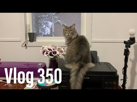 The END of 2019! |  Vlog 350