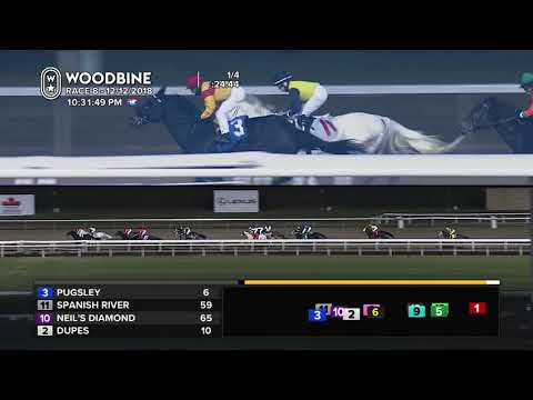 Woodbine, December 12, 2018 Race 8