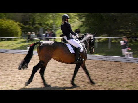 Großes Reitturnier am letzten Juniwochenende