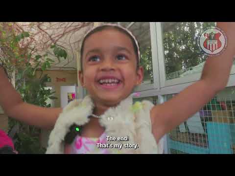 Play Video Youtube Video