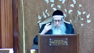 הרה"ג הרב וועכטר שליט"א ג' ניסן תשפ"ד - ליקוטי שיחות חלק י"ז פרשת שמיני חלק ו (הרב אברהם מנחם מענדל וכטר) - התמונה מוצגת ישירות מתוך אתר האינטרנט יוטיוב. זכויות היוצרים בתמונה שייכות ליוצרה. קישור קרדיט למקור התוכן נמצא בתוך דף הסרטון