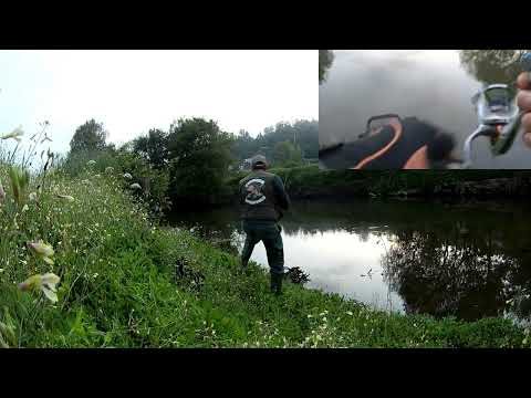 Pesca e os segredos do Rio Ferreira🎣