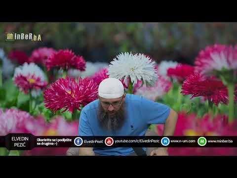 Da li je validan način liječenja saljevanje strave ?