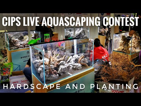 VIDEO 2/3 | CIPS LIVE AQUASCAPING CONTEST
