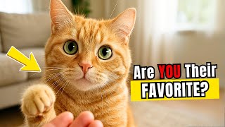 5 Things Cats Do ONLY for the Human They LOVE the Most!