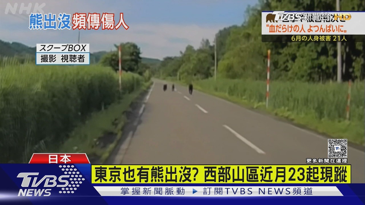 影音／全日本今年已41人遭熊攻擊！　東京西部山區近月也現蹤23起