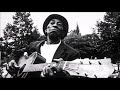 Mississippi John Hurt Cow Hookin' Blues