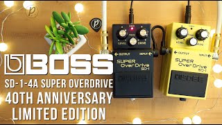 Boss SD-1-4A Super Overdrive 40th Anniversary - What To Know