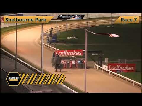 Newinn Session - The 2021 Ladbrokes Easter Cup 550 Round 2