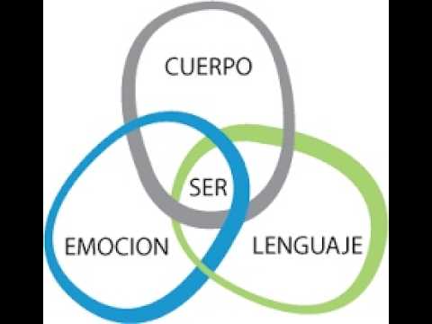 INTRODUCCIÓN AL COACHING ONTOLÓGICO thumbnail