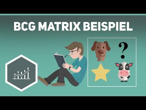 BCG portfolio – simply explained using an example