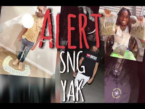 SNG Yak- Alert