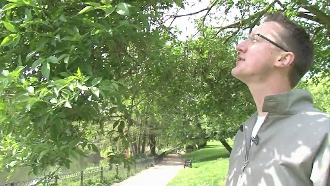 Elder - The Devil's Tree - YouTube