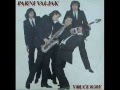 HVALA TI - PARNI VALJAK (1980)