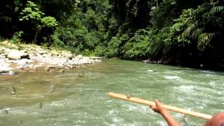 preview picture of video 'Tubing @Bukit Lawang, Sumatra'