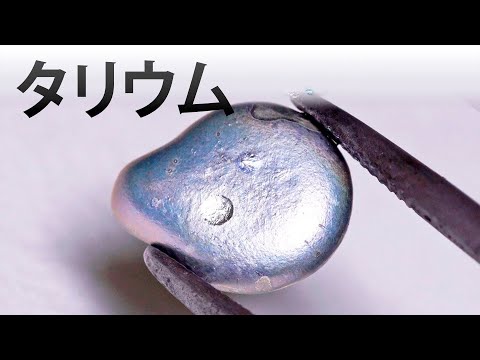 小さくて繊細なケンタウリーCentaurium pulchellum