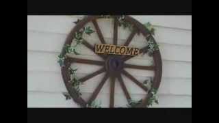 What's Left In My Garden In October