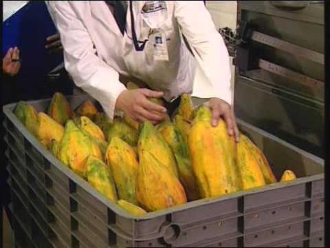 LSG Skychefs Film_CD.mov